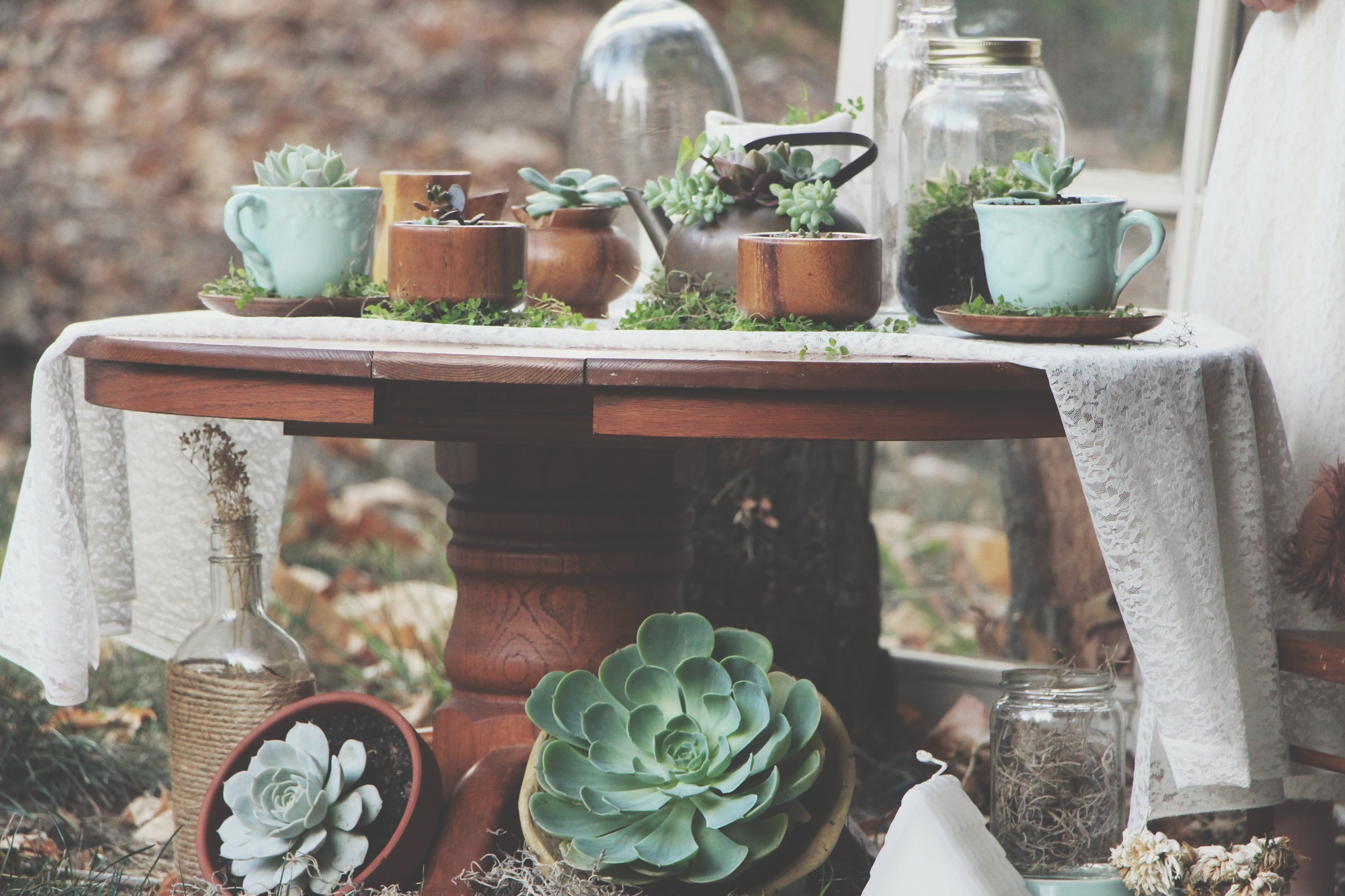A Succulent Tea Party via Needles + Leaves :: we styled this photo shoot with succulents in a teapot, teacups, mason jars, a bell jar, and terra cotta pots. :: flowers, roses, daisies, babies breath::&nbsp;vintage inspired owl, reused, repurposed, s…